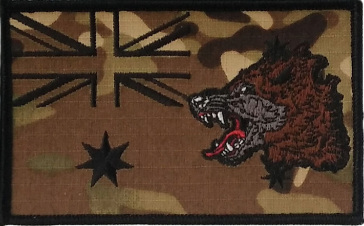 WPC ANF Patch (Multicam)