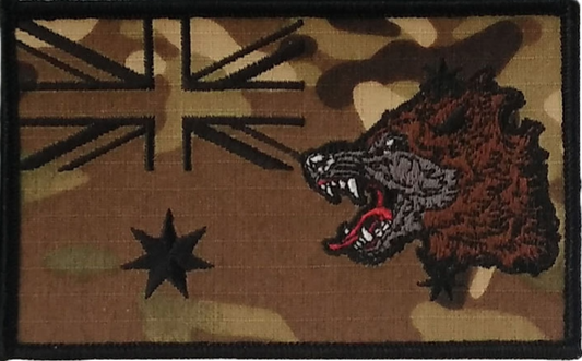 WPC ANF Patch (Multicam)